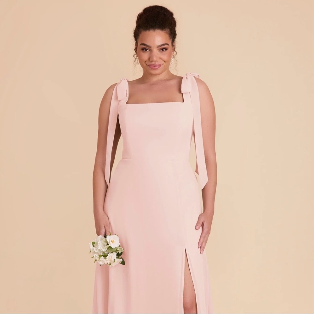 Birdy Grey Alex Dress in Chiffon Blush Pink